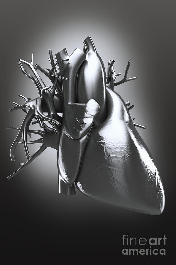 Metal Heart Photograph by Science Picture Co