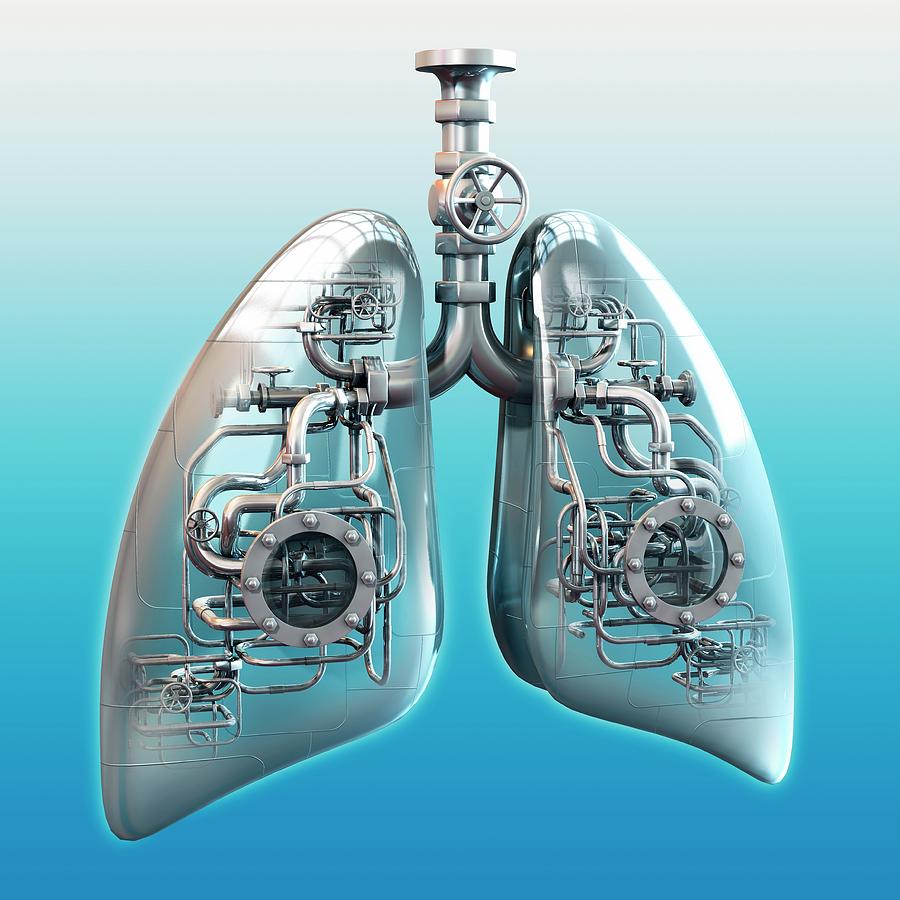 Metal Lungs Photograph by Jose Antonio Penas/science Photo Library