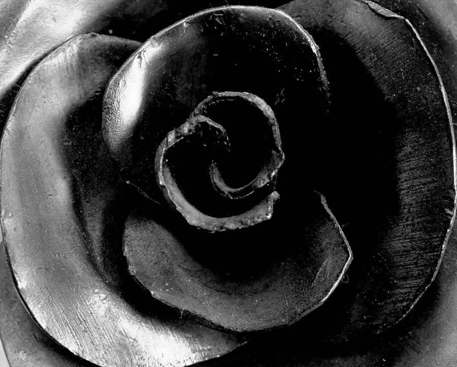 Metal petals Photograph by Guy Pettingell