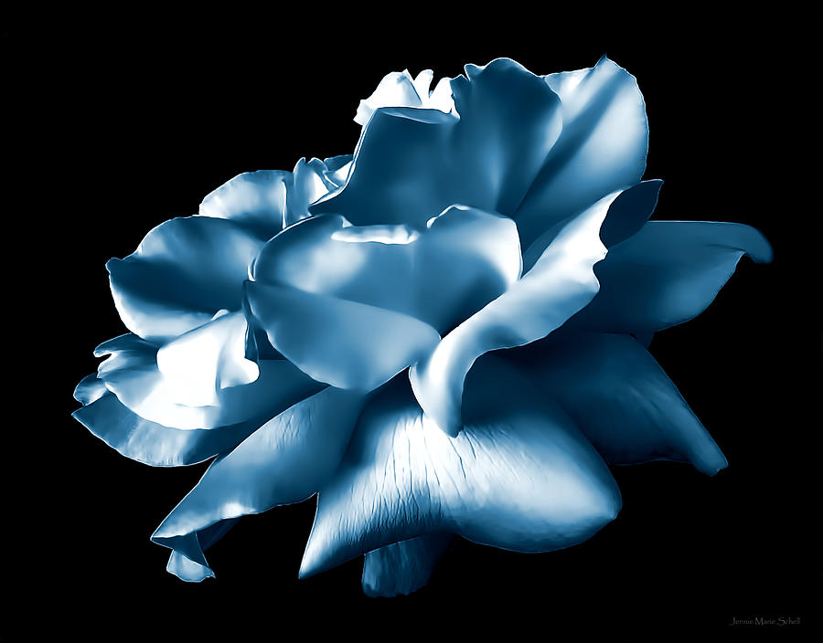 Metallic Blue Rose Flower Photograph by Jennie Marie Schell