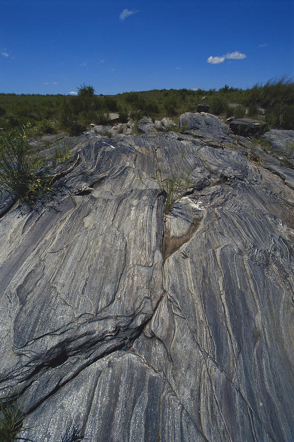 Metamorphic Rock Photograph by Charles Angelo