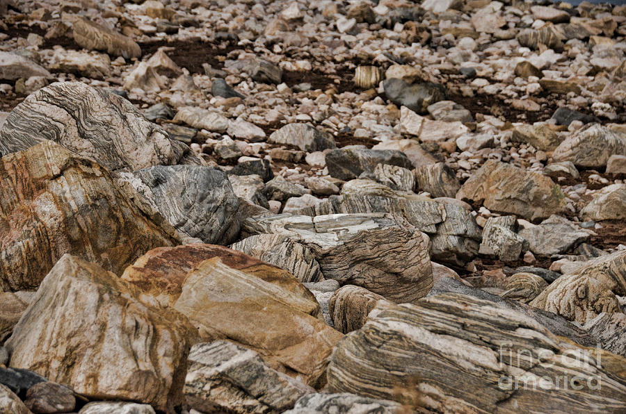 Metamorphic Rock Patterns  Photograph by Donna Greene