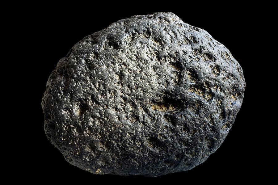 Meteorite Photograph by Dr Morley Read/science Photo Library