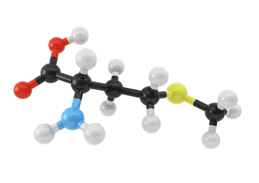 Пэт с метионином. Модель аминокислоты. Аминокислоты 3д. Метионин 3д прозрачная. Иботеновая кислота 3д модель.