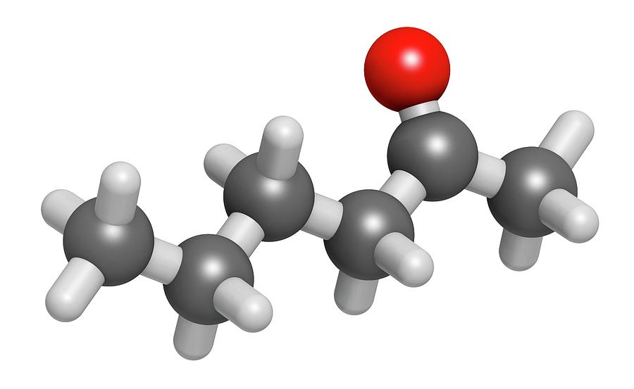 Illustration Photograph - Methyl Butyl Ketone Molecule by Molekuul