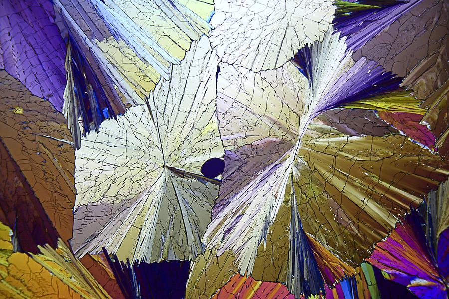 Methyl sulphonal crystals, micrograph Photograph by Science Photo Library