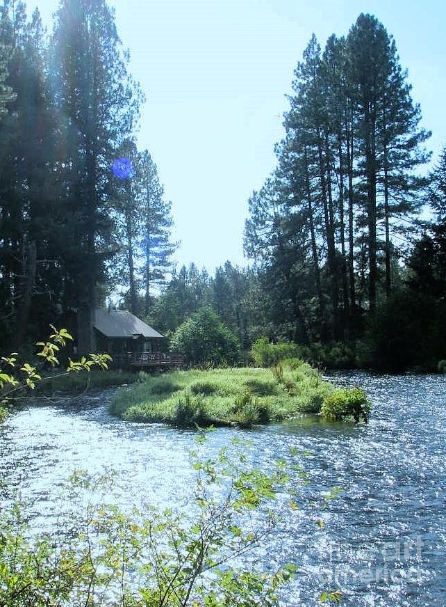 Nature Photograph - Metolius River Cabin by Liz Snyder