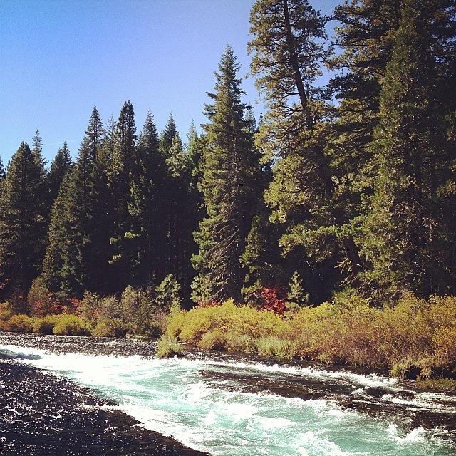 Metolius River Photograph by Megan Lacy