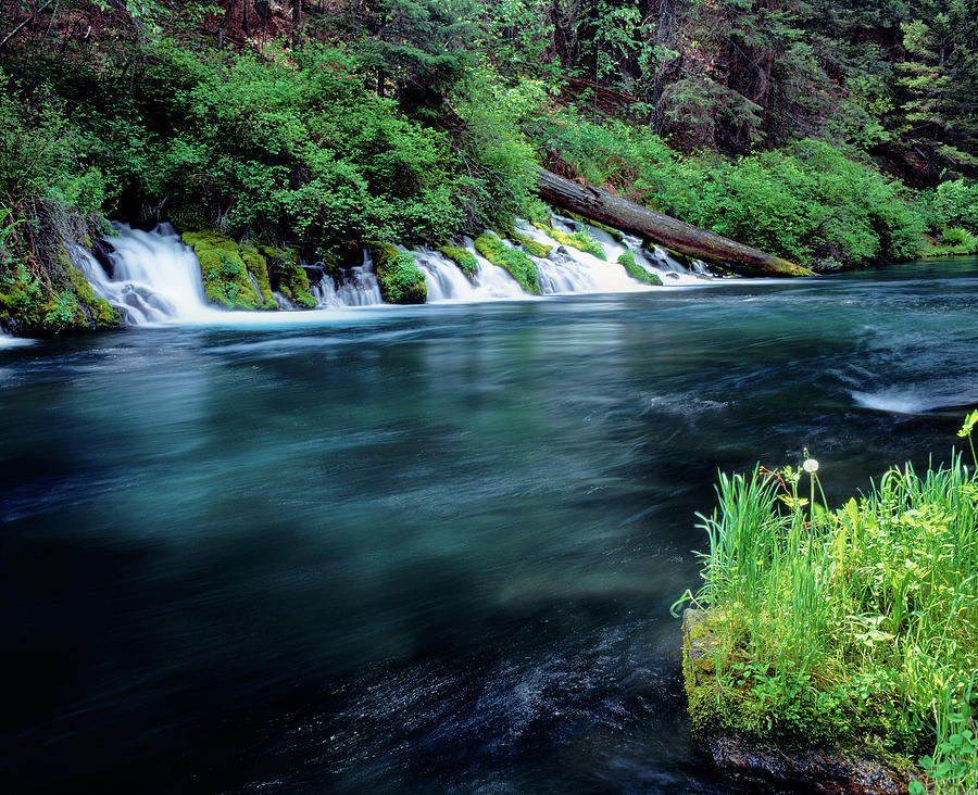 Metolius River Near Camp Sherman Photograph by Panoramic Images