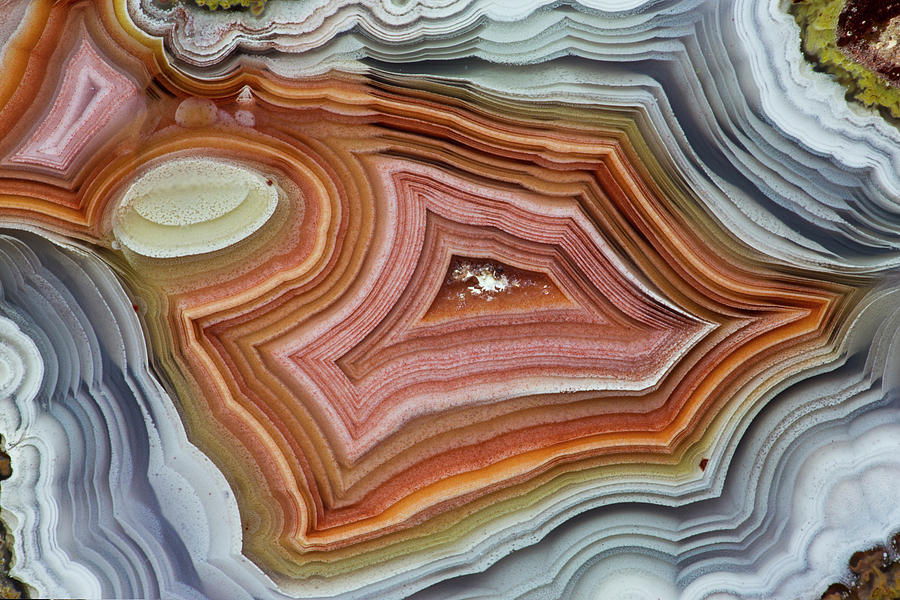 Pattern Photograph - Mexican Banded Agate Quartzsite, Arizona by Darrell Gulin