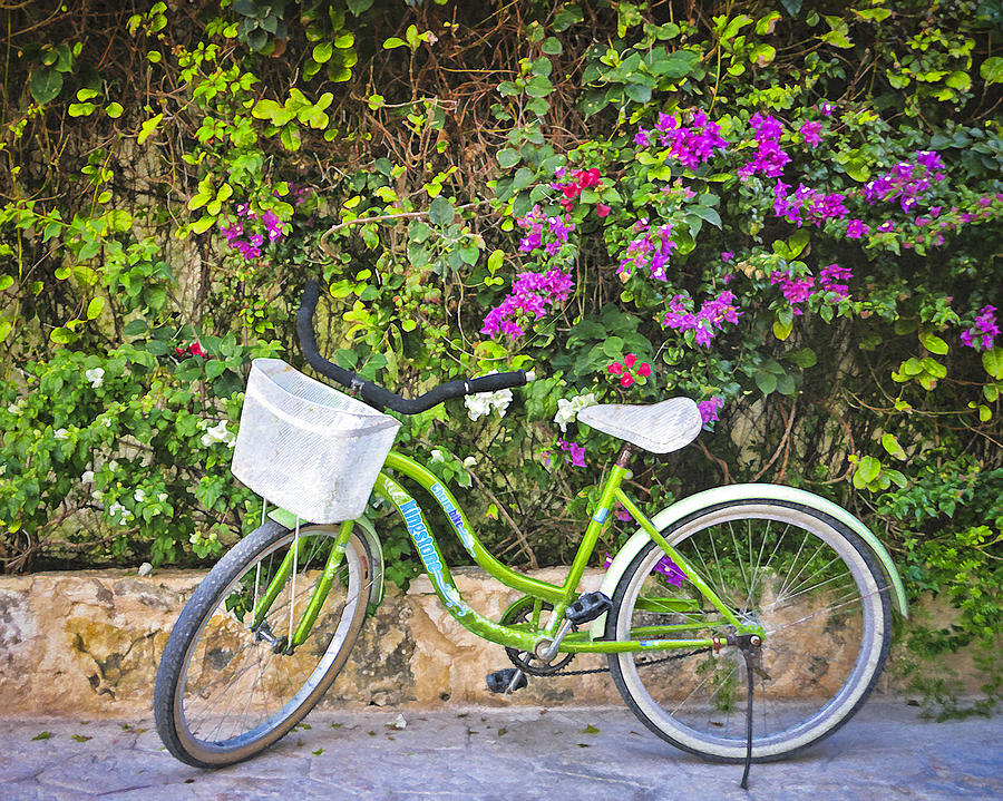 Mexican Bike Photograph by Betty Eich