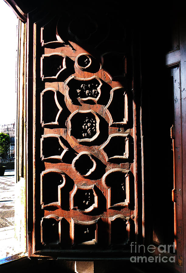 Mexican Door 1 Photograph by Xueling Zou