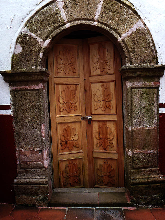 Mexican Door 56 Photograph by Xueling Zou