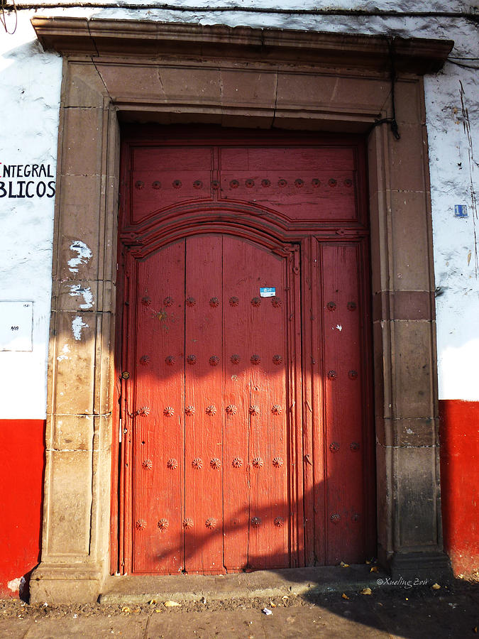 Mexican Door 63 Photograph by Xueling Zou