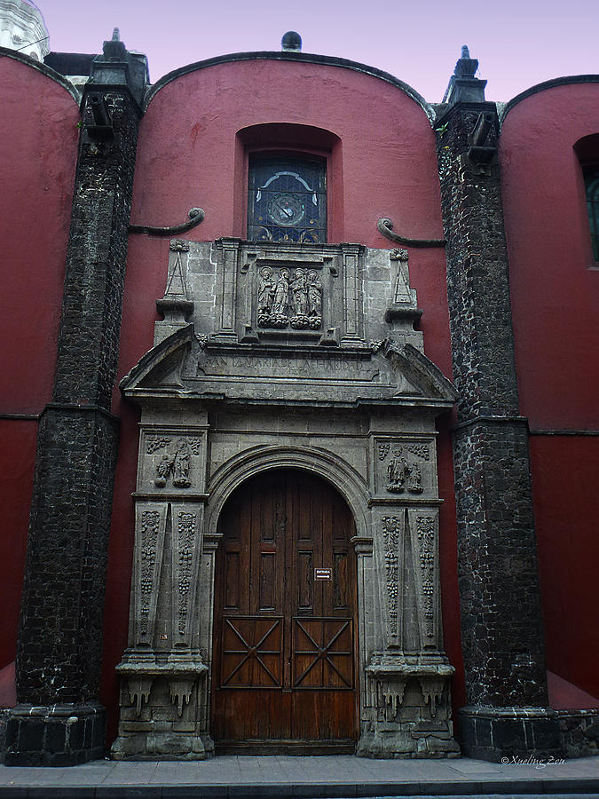 Mexican Door 65 Photograph by Xueling Zou