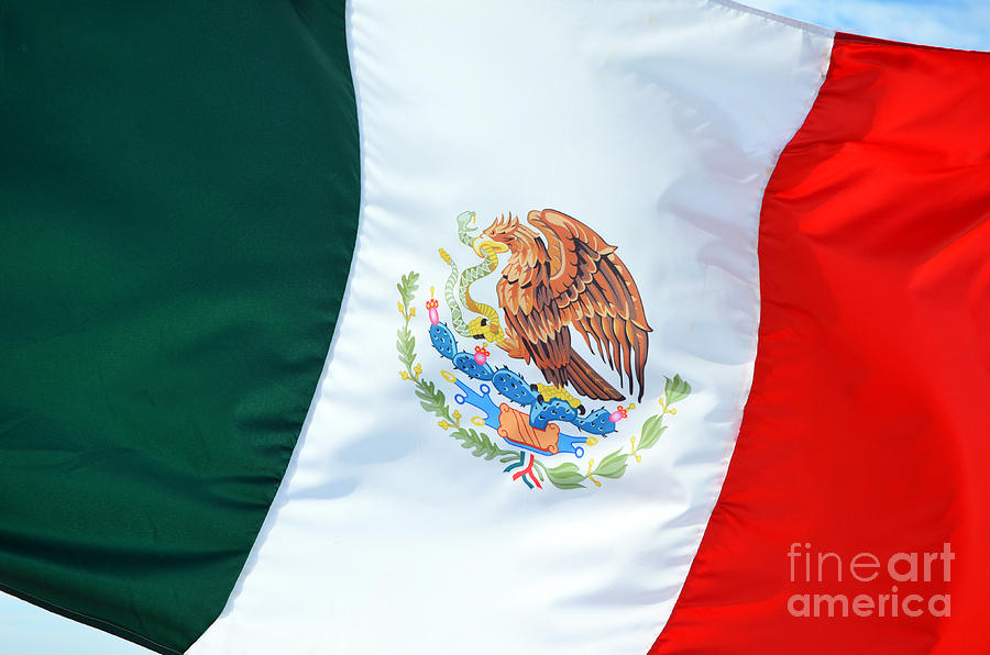 Mexican Flag in a Stiff Breeze Photograph by Shawn OBrien