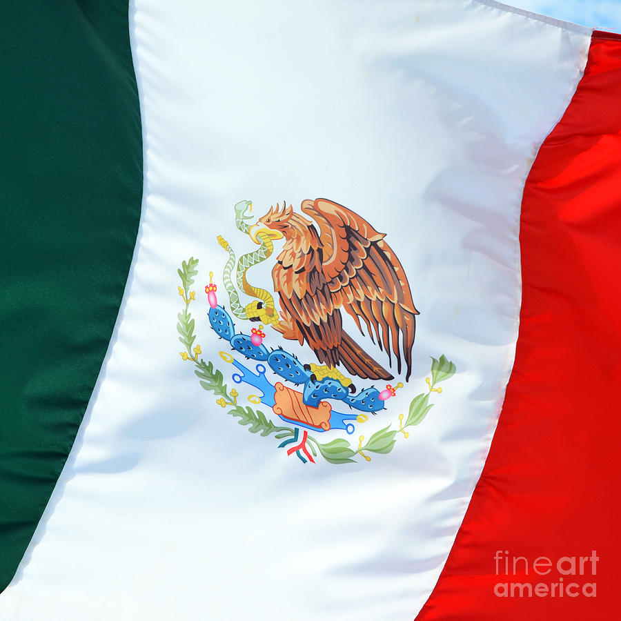 Mexican Flag in a Stiff Breeze Square Format Macro Photograph by Shawn OBrien
