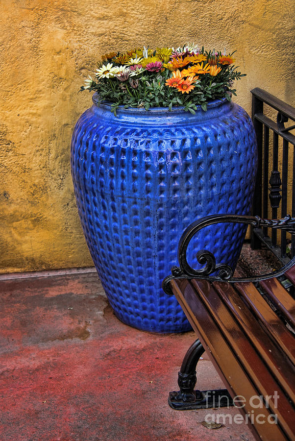 Mexican Flower Pot Photograph by Lee Dos Santos