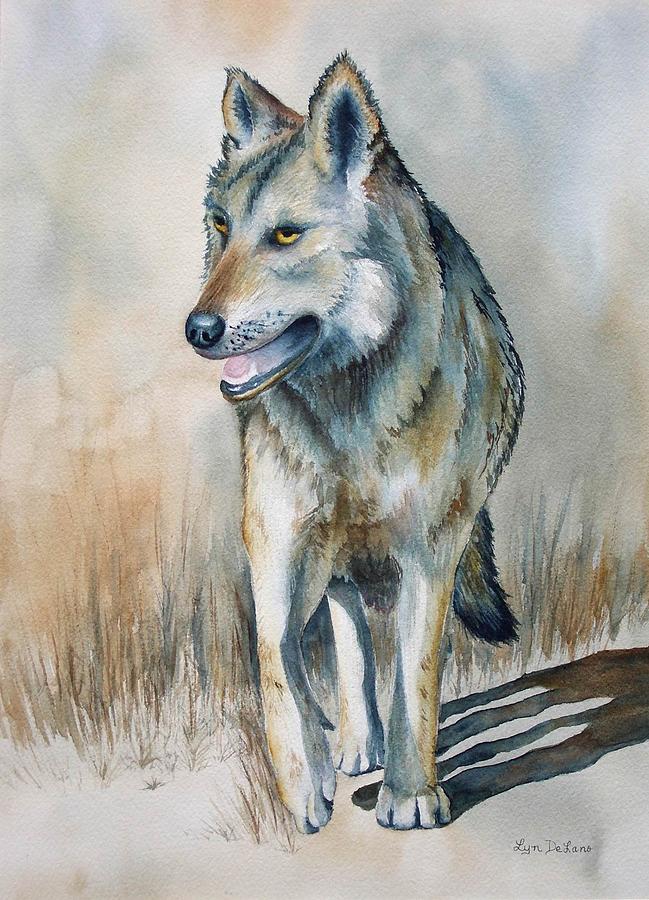 Mexican Grey Wolf Painting by Lyn DeLano