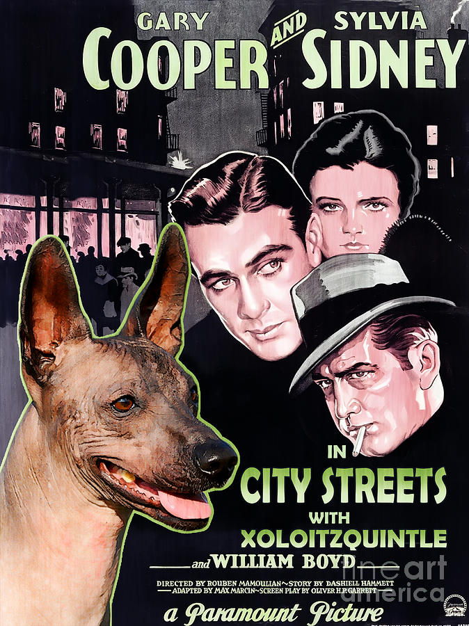 Mexican Hairless Dog - Xoloitzquintle Art Canvas Print -  City Street Movie Poster Painting by Sandra Sij