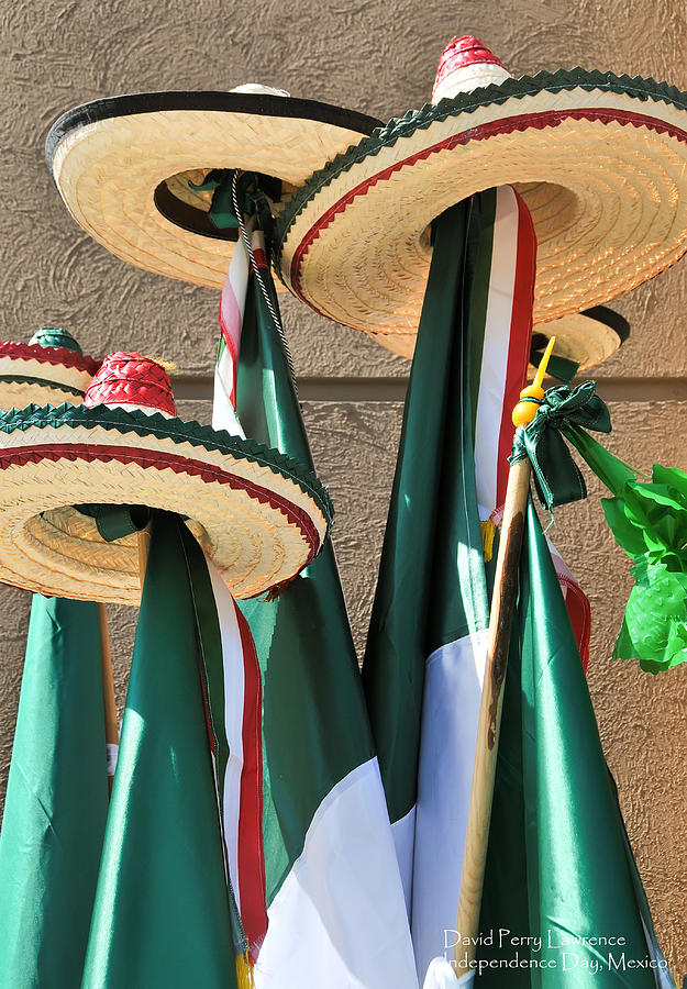 Independence Day Photograph - Mexican Independence Day - Photograph by David Perry Lawrence by David Perry Lawrence