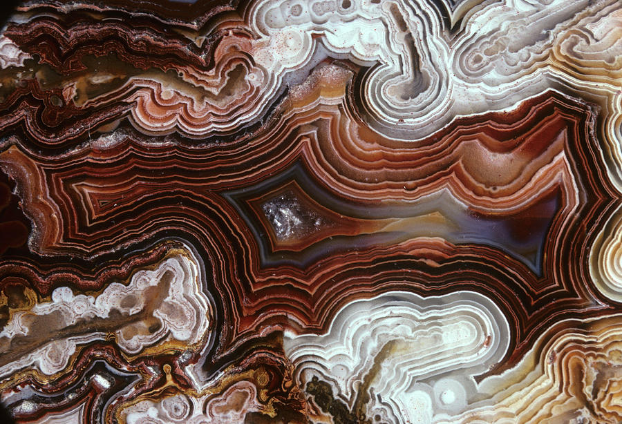 Mexican Lace Agate Photograph by Louise K. Broman