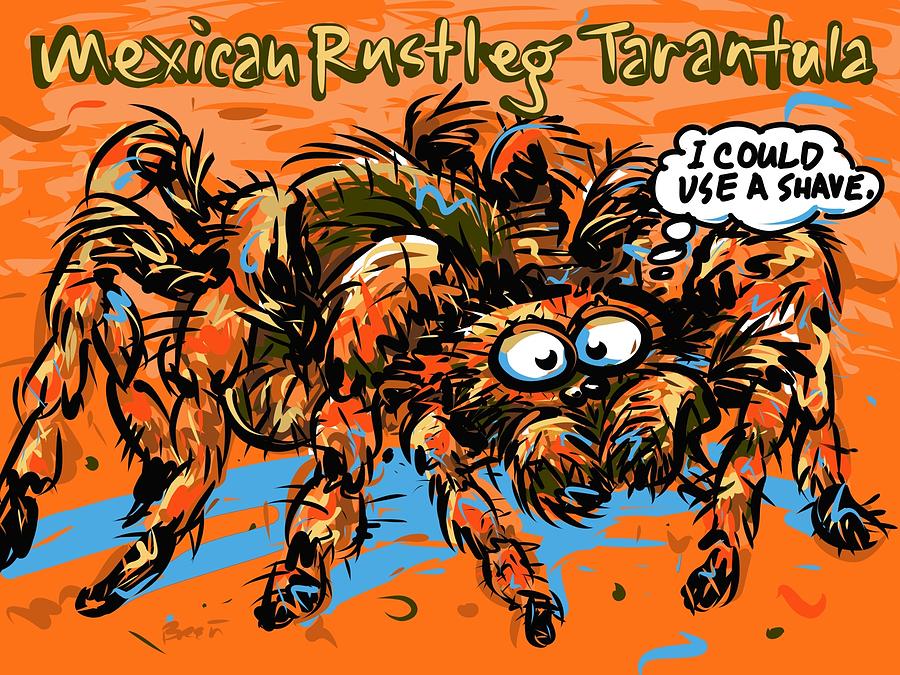 Spider Drawing - Mexican Rustleg Tarantula by Brett LaGue