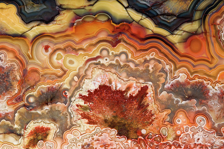 Mexico Close-up Of Crazy Lace Agate Photograph by Jaynes Gallery