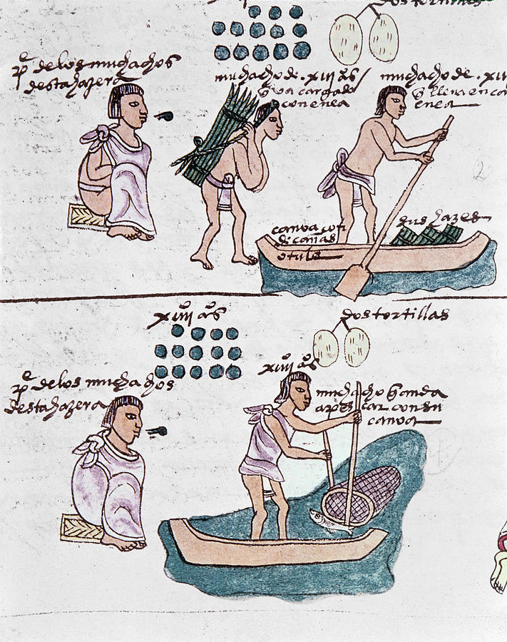 Fish Drawing - Mexico Codex Mendoza by Granger