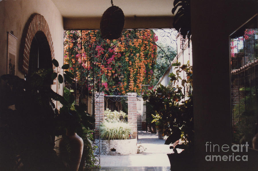 Mexico Garden Patio by Tom Ray Photograph by First Star Art