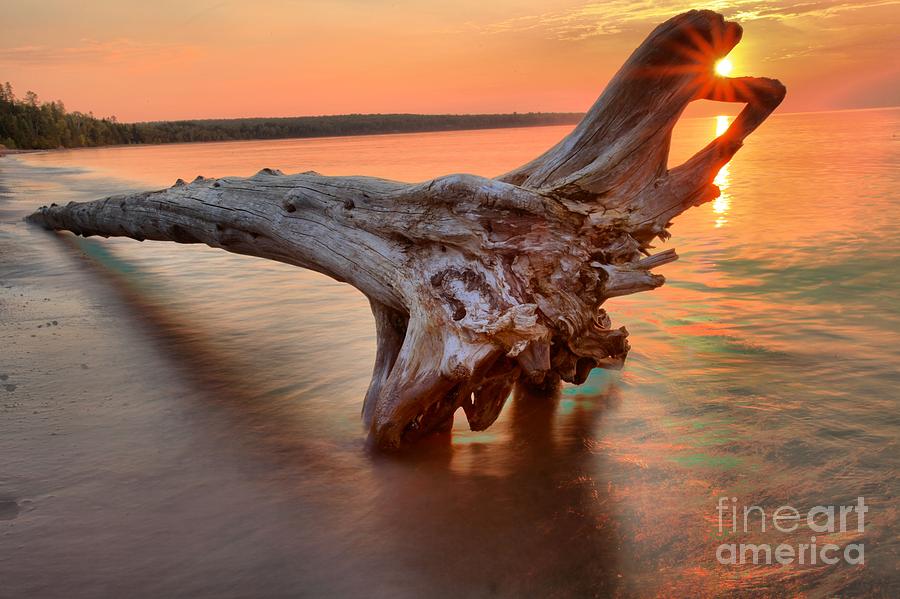 Meyers Beach Driftwood Photograph by Adam Jewell