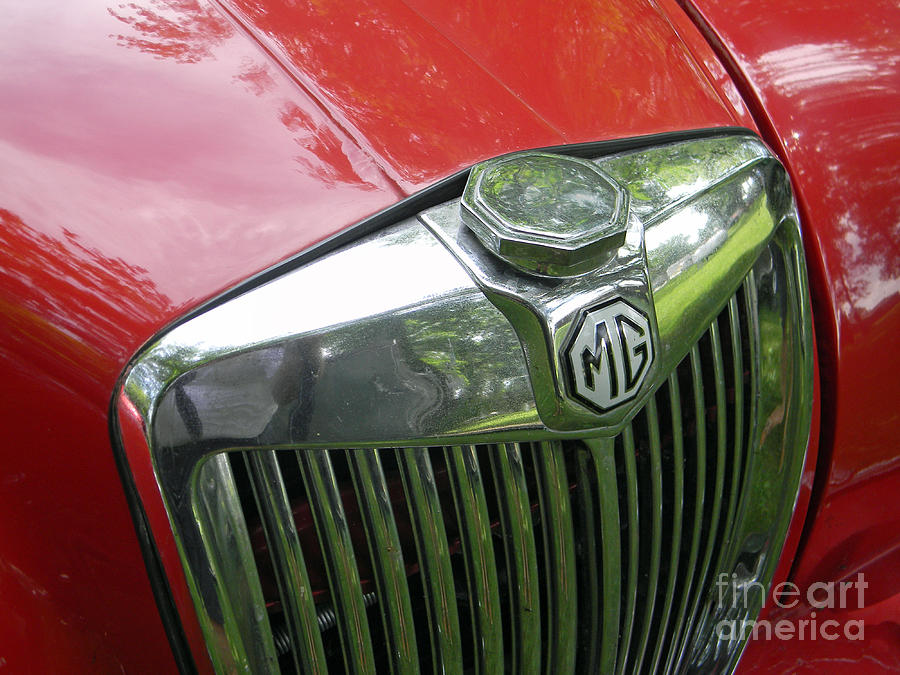 MG Magnette Photograph by Neil Zimmerman
