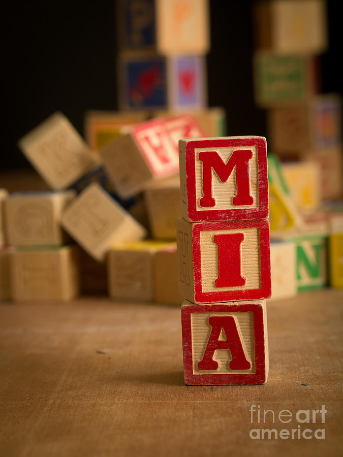 MIA - Alphabet Blocks Photograph by Edward Fielding