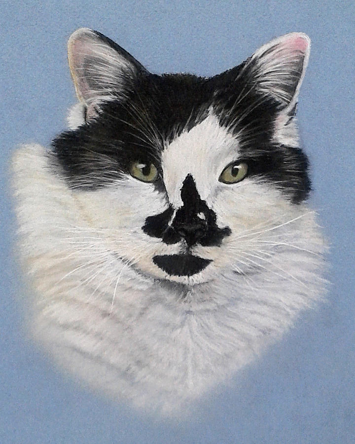 Cat Painting - Mia by Sarah Dowson