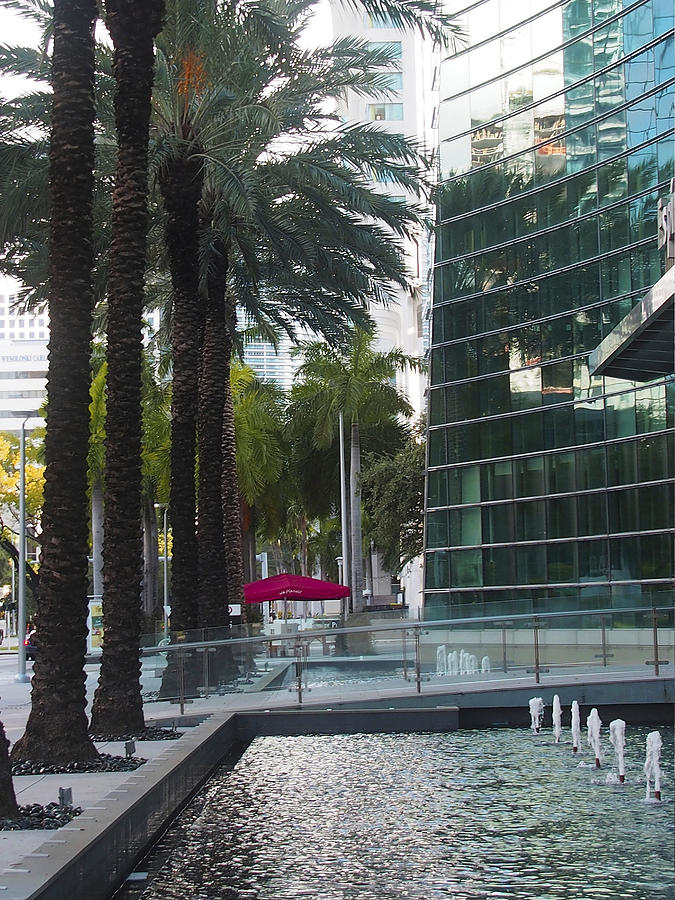 Miami Glass Building With Palms and Red Umbrella Photograph by Karen Zuk Rosenblatt