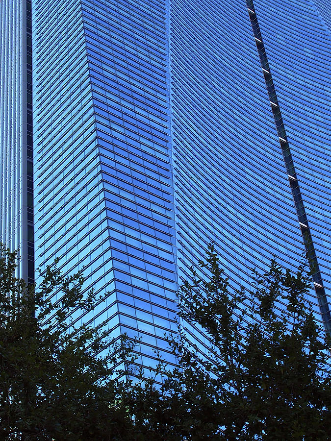Miami Blue Glass Building Photograph by Karen Zuk Rosenblatt