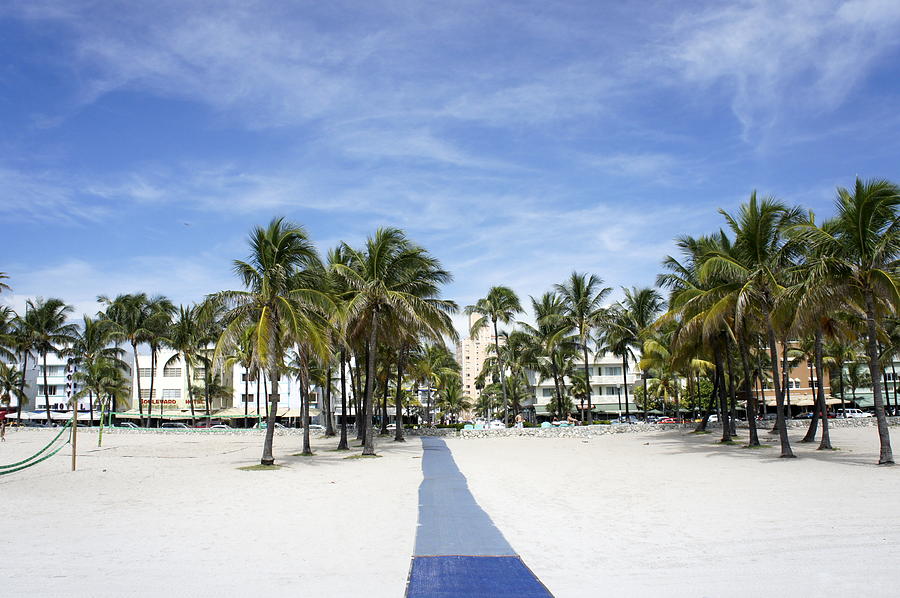 Miami Beach Photograph by Laurie Perry