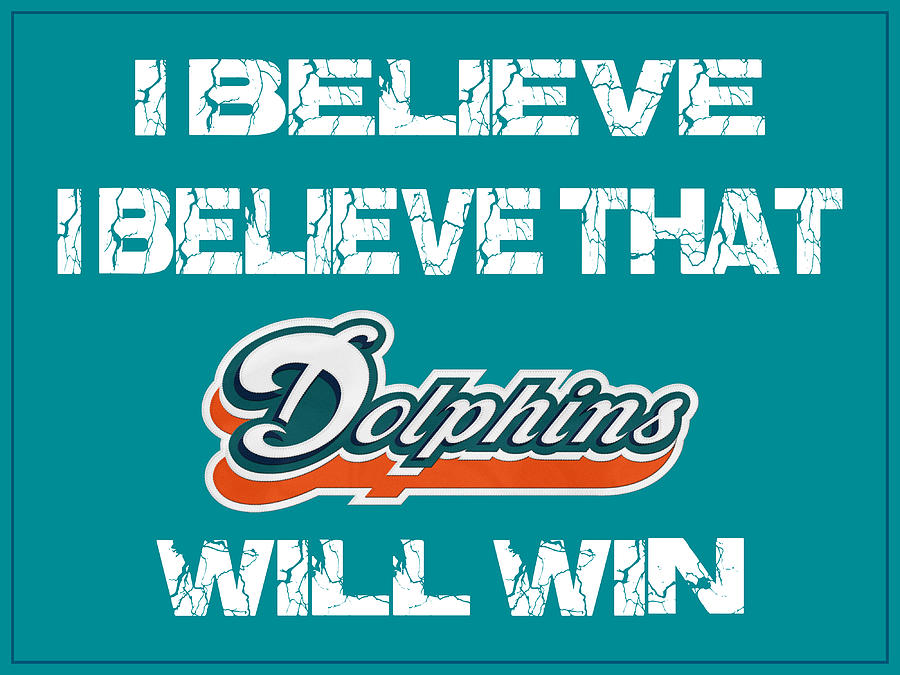 Miami Dolphins Undefeated Season by Joe Hamilton