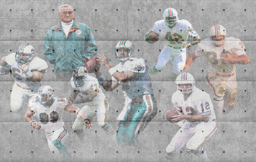 Miami Dolphins Greeting Card by Joe Hamilton