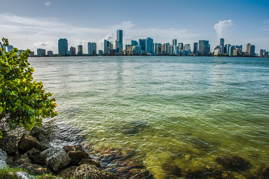 Miami Photograph - Miami Downtown Skyline by Manuel Lopez