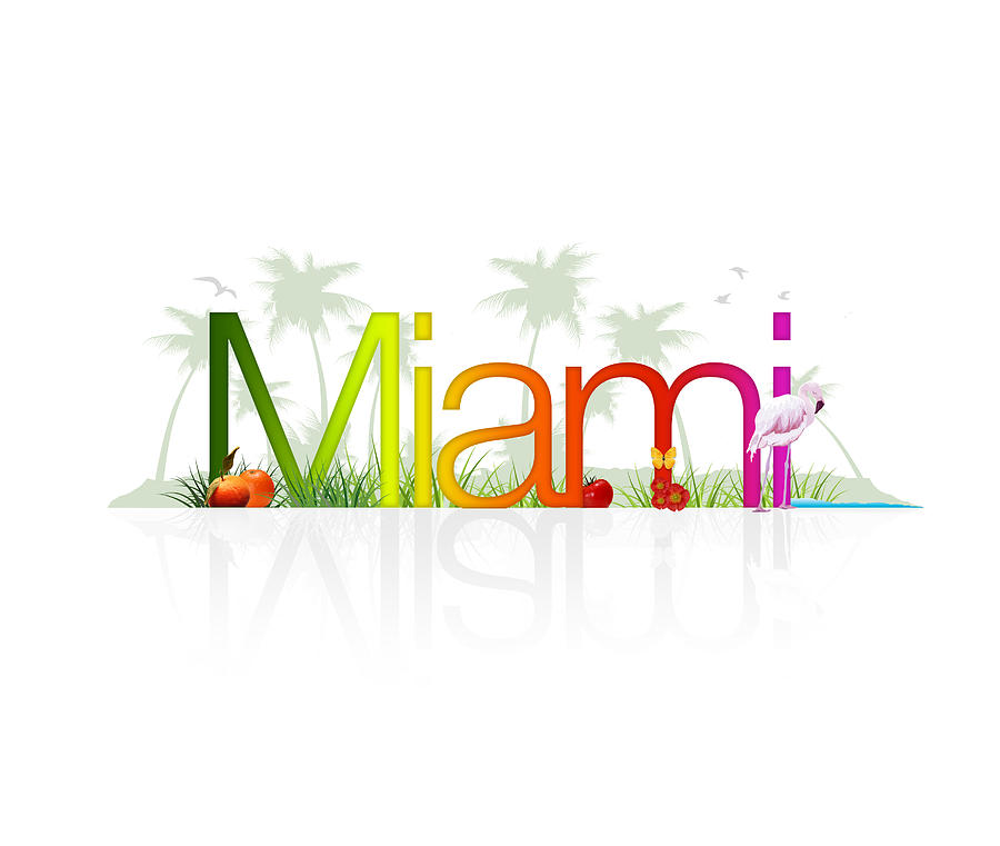 Miami- Florida Drawing