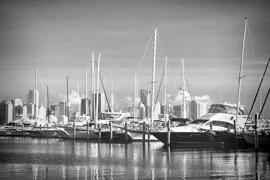 Miami Marina in Black and White Photograph by Rudy Umans