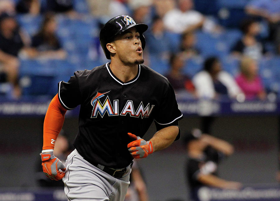 Miami Marlins V Tampa Bay Rays Photograph by Brian Blanco Miami Marlins V Tampa Bay Rays Photograph by Brian Blanco