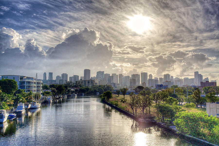 Miami Morning Photograph by William Wetmore