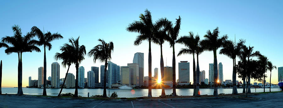 Miami Skyline Viewed Over Marina Photograph by Travelpix Ltd