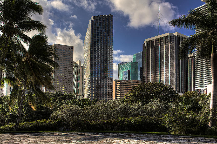 Miami Skyscrapers Photograph by William Wetmore