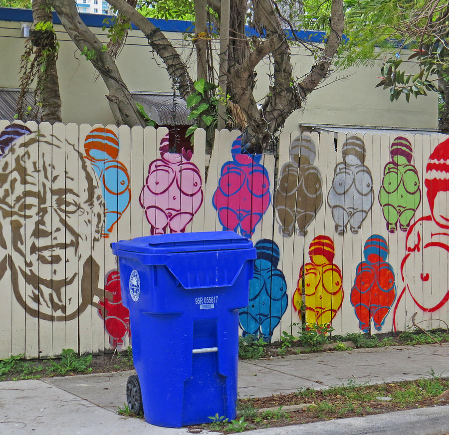 Miami Street Art Photograph by Dart Humeston