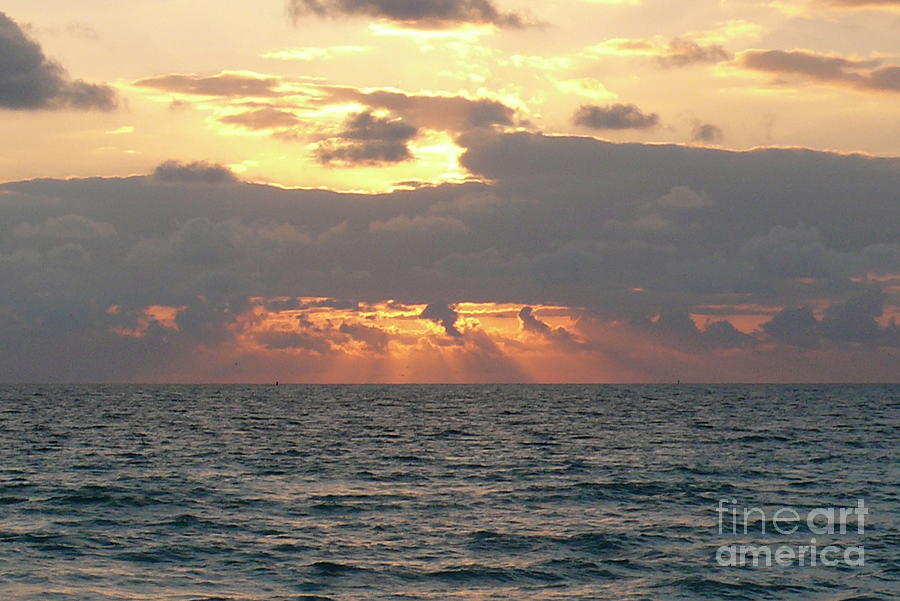 Miami Sunrise Photograph by Amanda Mohler