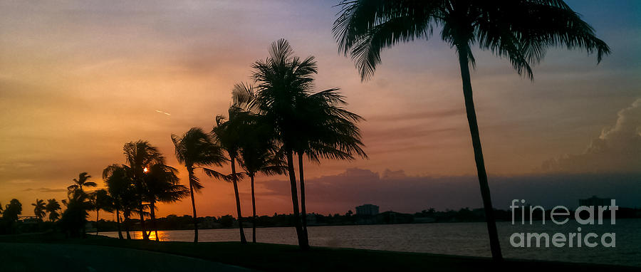 Miami Sunset Photograph by Charlie Cliques