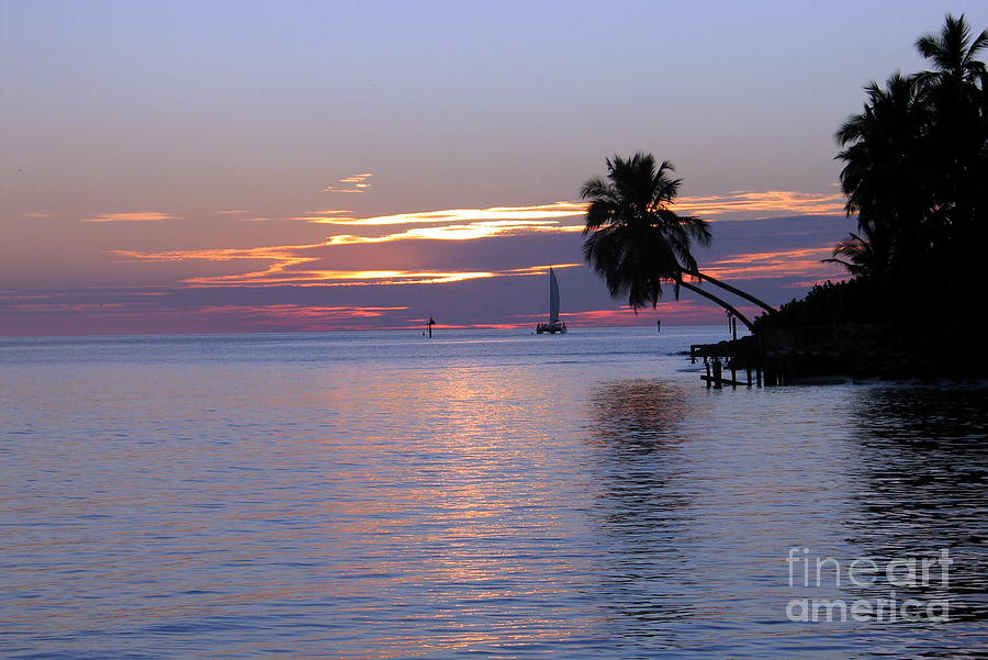 Miami Sunset Photograph by Shelia Kempf